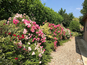 Photo n°24 de Atalus à Rillieux-la-Pape (Architecte paysagiste)