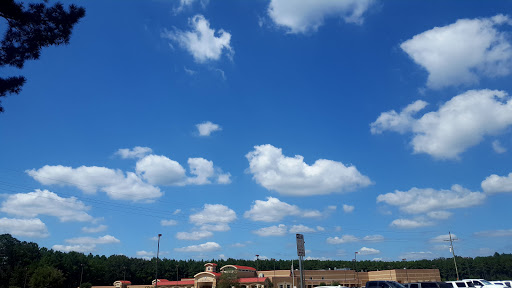 Piney Woods Elementary - Visual