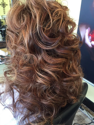Hair We Go Again Studio Gallery - United States