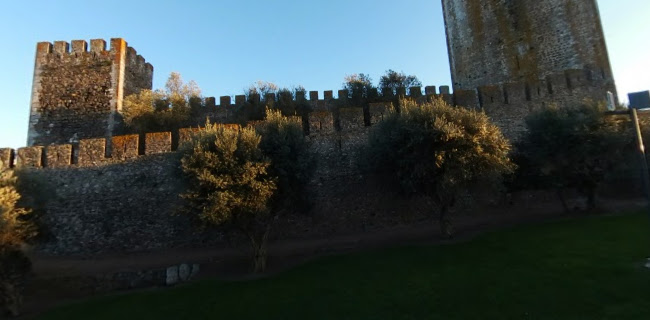 Jardim da Rua de Dom Dinis e da Rua de Antero de Quental, R. Dom Dinis 3, 7800-000 Beja