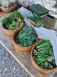 時山養魚場 キャンプ場