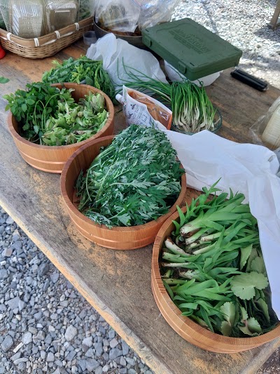 時山養魚場 キャンプ場