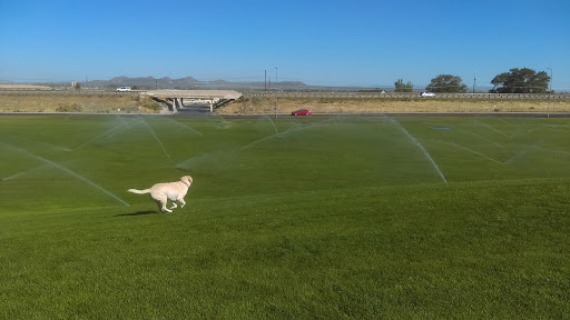Sunbow Park - Visual