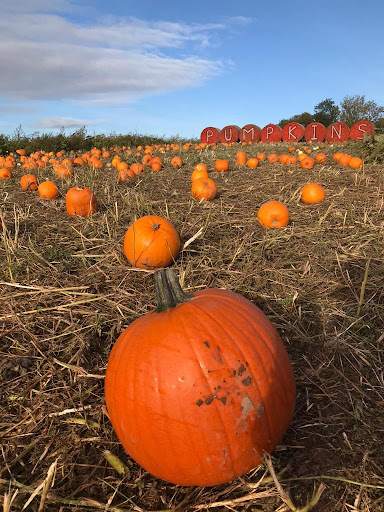 Pumpkin Pete's