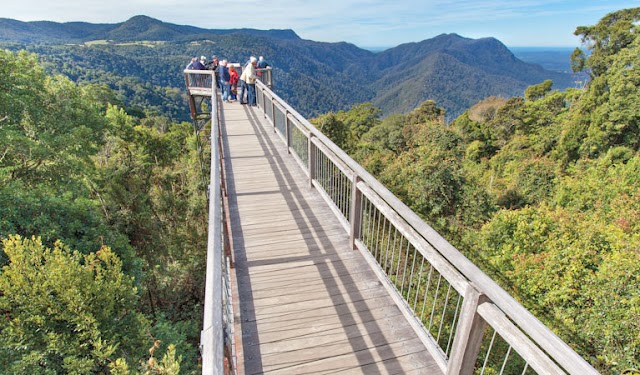 Parc national Dorrigo