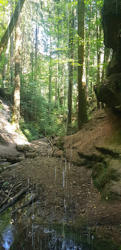 Börtlinger Wasserfall - Thumbnail