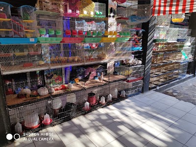 Evcil Pet Market