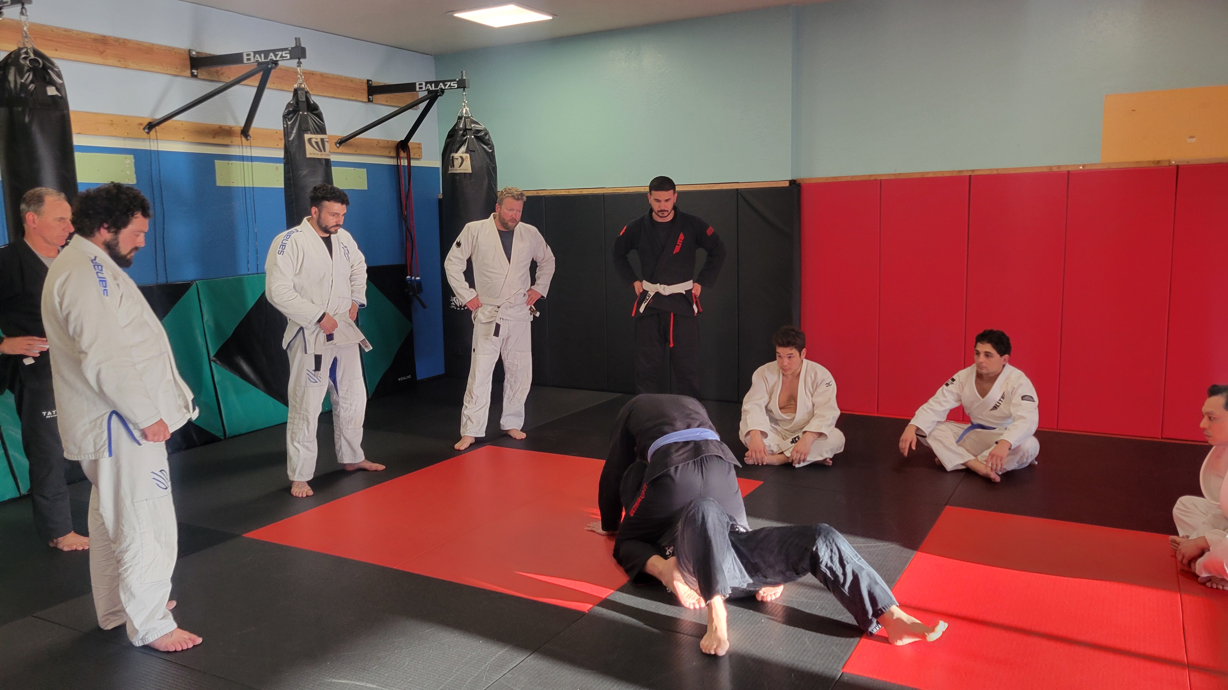 FreeFall MMA photo 5