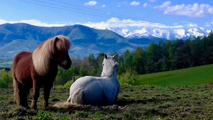 Photo n°16 de Domaine des Sarraillès: Gîte, chambres d'hôtes, camping insolite, événements, séminaire , bien -être,... à Contrazy (Programme de bien-être)