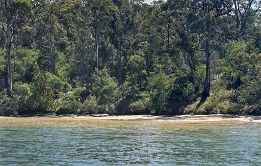 Peigi Hazel Beach