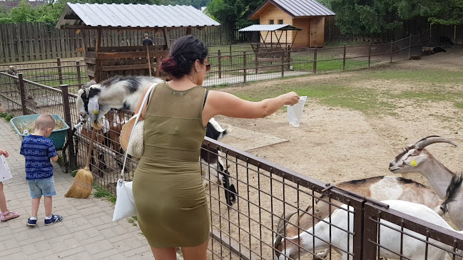 Komentáre a hodnotenia Mini ZOO Juško