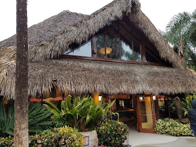 Photos of Discovery Cove