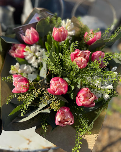 Luckes Botanical - Visual