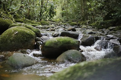 Photos of Balai Litbang LHK Aek Nauli