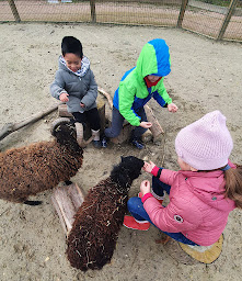 Photo n°10 de Mini ferme pédagogique à Bry-sur-Marne (École d'agronomie)