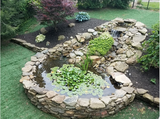 Aquatic Design & Maintenance - Thumbnail