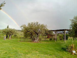 Photo n°9 de Camping Little Carpe Diem à Les Mées (Terrain pour camping-cars)