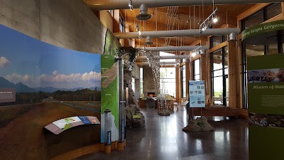 Photos of Gorges State Park