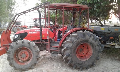 Photos of Palmar De Altamira