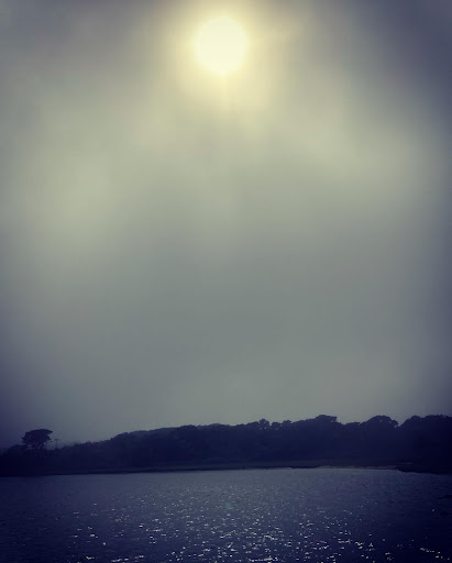 Toms Neck Point