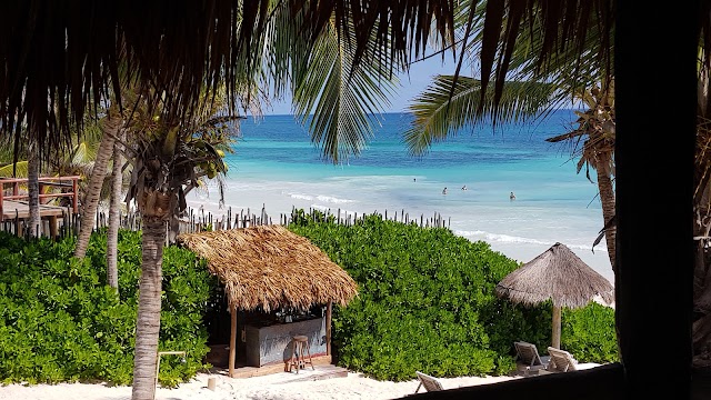 Luv Tulum