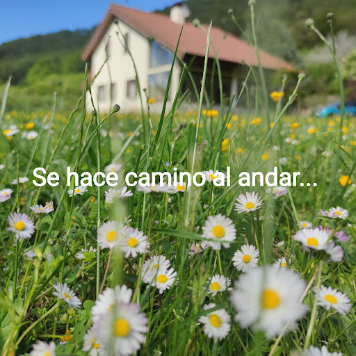 Oposlengua.net - Thumbnail