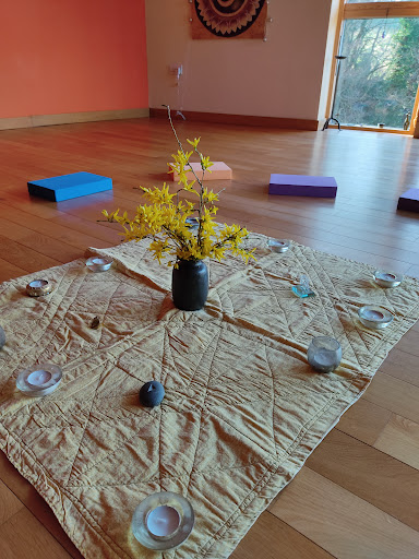 Yoga Frankie
