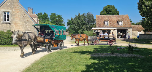 Photo de Pôle du Cheval et de l'Âne | Village de Cottages à Lignières (18160)