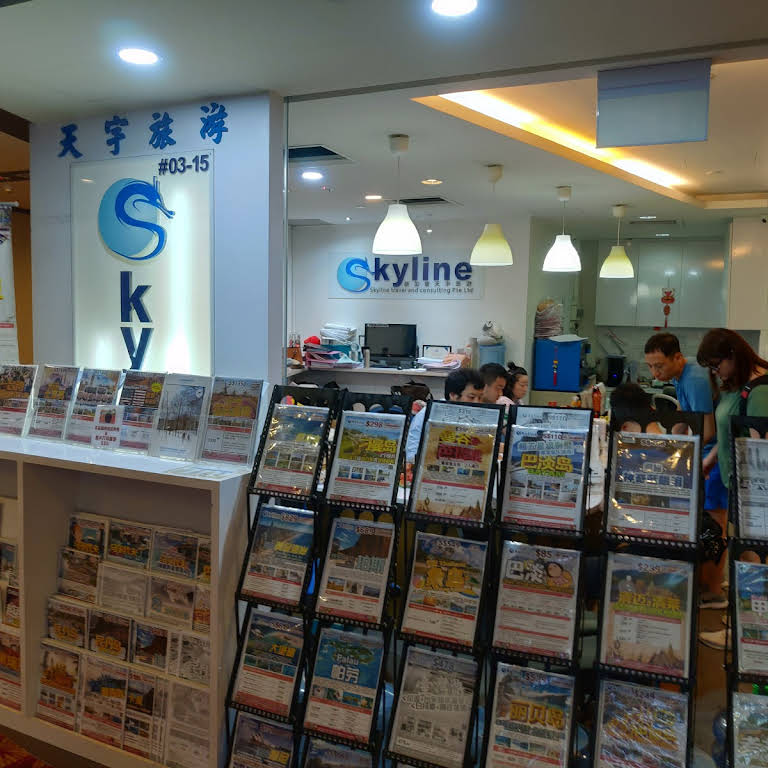 skyline international travel pte ltd