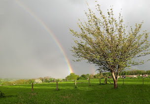 Photo n°3 de La ferme Nat'Lait GAEC Choisnard à Crouttes (Ferme)