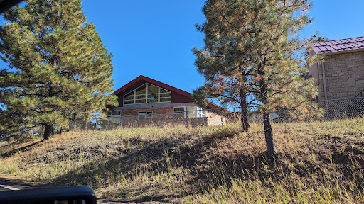 Alpine Public Library - Visual