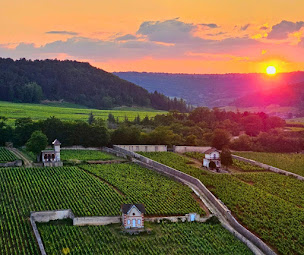 Photo n°18 de France Montgolfieres - Bourgogne - BEAUNE -Vol en montgolfière à Marigny-lès-Reullée (Agence de vols touristiques en montgolfière)