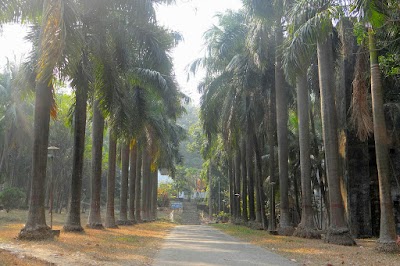 Photos of Science Faculty Masjid