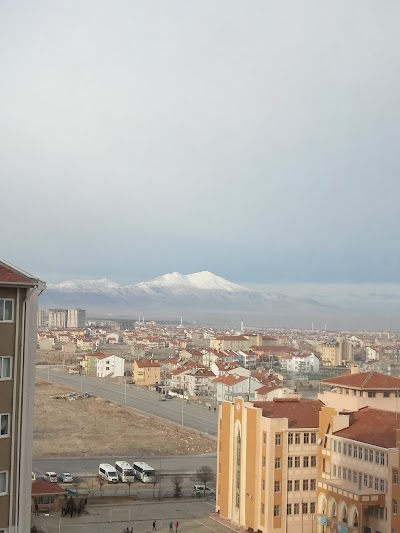 Larende Anadolu Lisesi