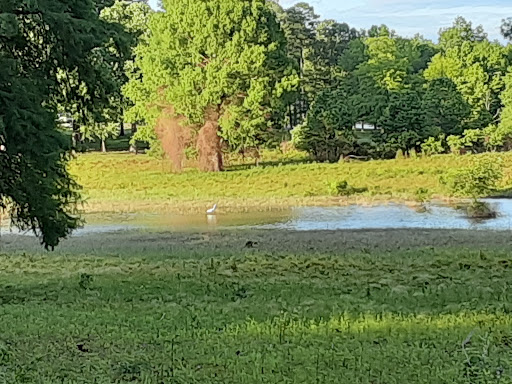 US Army Corps of Engineers Campground And Boat Launc - Thumbnail