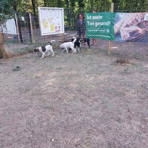 Unser Hundegarten Holzwickede - Thumbnail