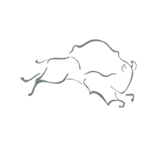 Avatar for Running Buffalo Resources Inc.