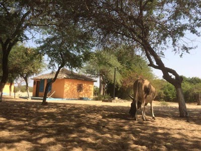 Photos of Jinack Island