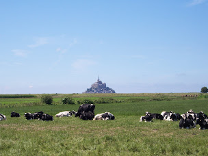 Photo n°18 de Chambres D'hôtes au Saint Avit - Lumé Pascal à Huisnes-sur-Mer (Agriculteur)