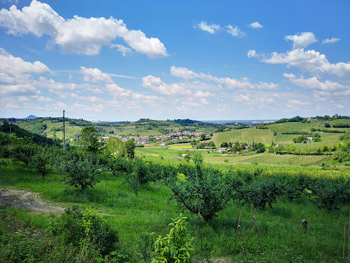 Quartiere Cesuola - Visual