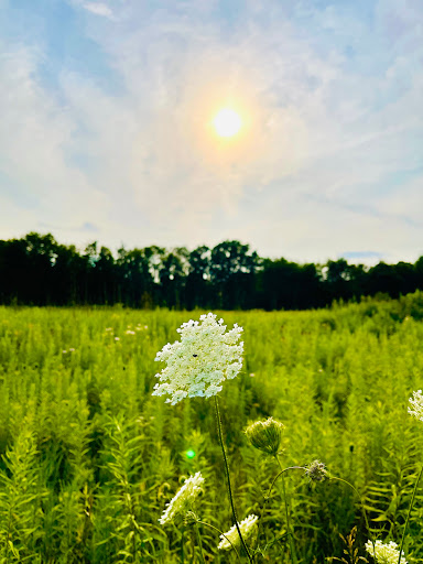 Lyon Oaks County Park - Thumbnail