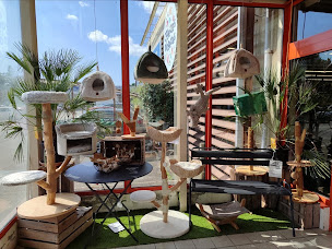 Photo n°7 de GAMM VERT à Challans (Pépinière)