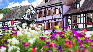 Photo n°28 de Ophorus à Strasbourg (Agence de voyages)