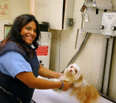 VCA Mission Animal Hospital