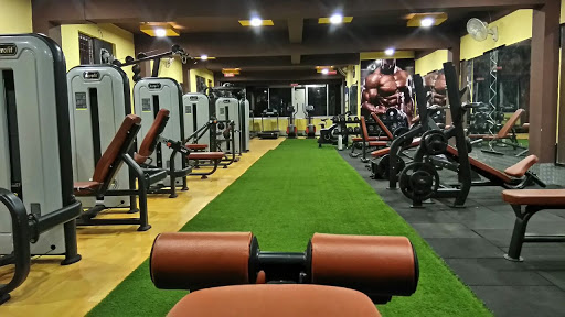 Body Fitness Gym