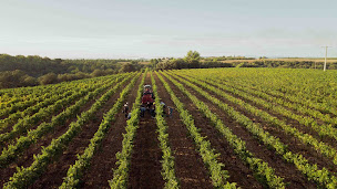 Photo n°20 de Domaine les Grandes Marges à Valensole (Bar à vin)