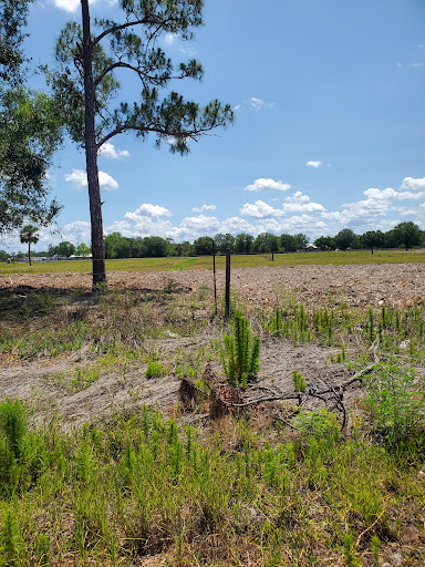 Six Mile Cypress Slough Preserve North