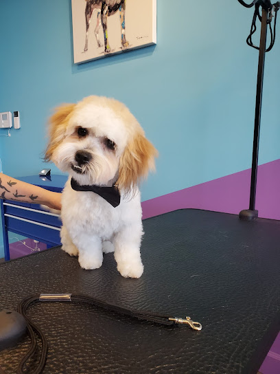 Caring Hands Grooming Salon & Spa
