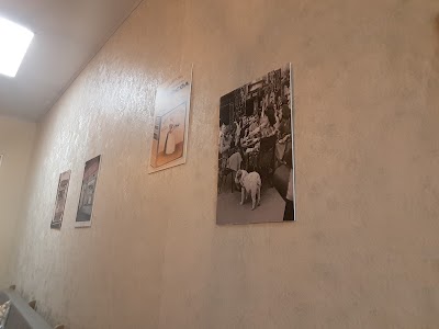 Photos of Dolce