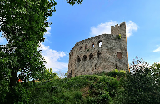 Photo de Château de Wangenbourg à Wangenbourg-Engenthal (67710)